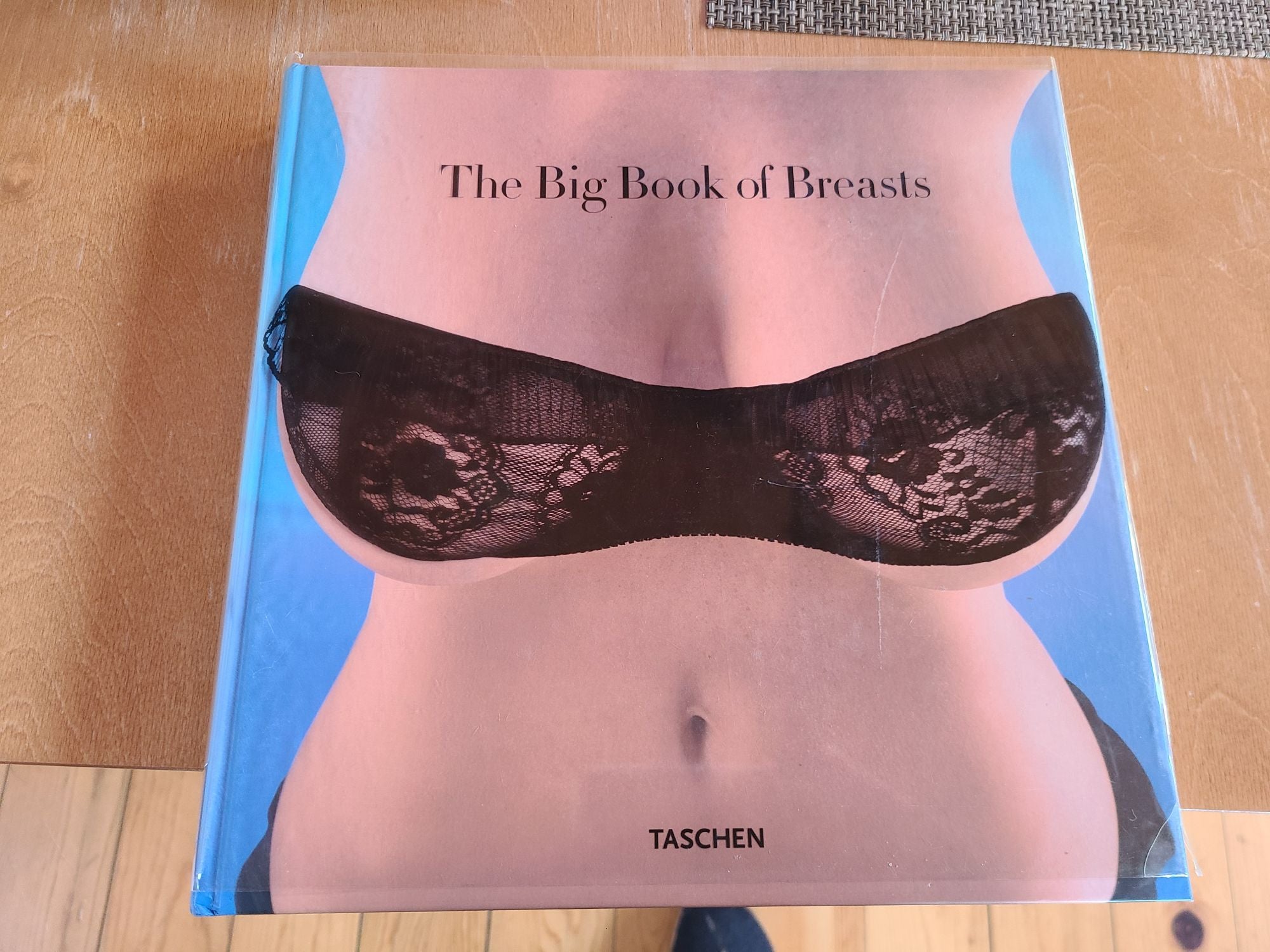 The Big Book of Breasts by Dian Hansen on Kayo Books