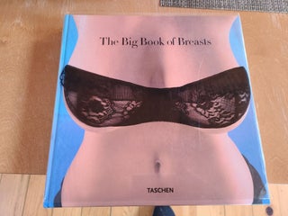 Item #12092 The Big Book of Breasts. Dian Hansen
