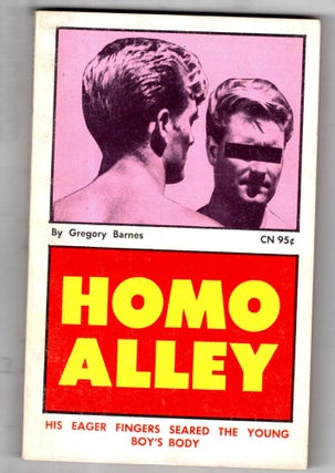 Item #12164 Homo Alley. Gregory Barnes