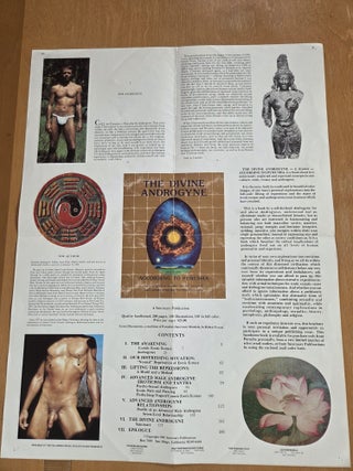 The Divine Androgyne According to Purusha